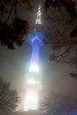 Night snowfall view of Namsan tower of Seoul Royalty Free Stock Photo