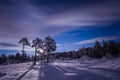 Night in the snowy forest. Norwegian wintertime Royalty Free Stock Photo