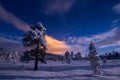 Night in the snowy forest. Norwegian wintertime Royalty Free Stock Photo