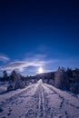 Night in the snowy forest. Norwegian wintertime Royalty Free Stock Photo