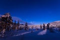 Night in the snowy forest. Norwegian wintertime Royalty Free Stock Photo