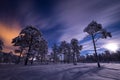 Night in the snowy forest. Norwegian wintertime Royalty Free Stock Photo