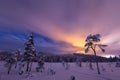 Night in the snowy forest. Norwegian wintertime Royalty Free Stock Photo