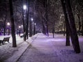 Night snowy winter landscape in the alley of city Royalty Free Stock Photo