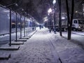 Night snowy winter landscape in the alley of city park Royalty Free Stock Photo