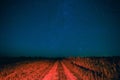 Night Starry Sky Above Country Road In Countryside And Green Field Royalty Free Stock Photo