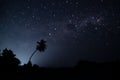 Night starry sky with many stars and the outlines of palm trees Royalty Free Stock Photo