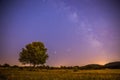 Night and stars Landscape: Clear Milky way at night, lonely field and tree Royalty Free Stock Photo