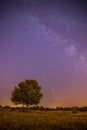 Night and stars Landscape: Clear Milky way at night, lonely field and tree Royalty Free Stock Photo