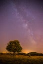 Night and stars Landscape: Clear Milky way at night, lonely field and tree Royalty Free Stock Photo
