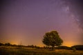 Night and stars Landscape: Clear Milky way at night, lonely field and tree Royalty Free Stock Photo