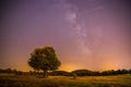 Night and stars Landscape: Clear Milky way at night, lonely field and tree Royalty Free Stock Photo