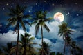 Night stars sky with full moon of Caribbean palm garden.