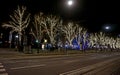 Trees decorated for Christmas. Beautiful illumination.