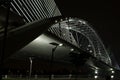 Night Suspension Steel Bridge