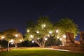 Night theme garden decoration with tree decorated with light bulb Royalty Free Stock Photo