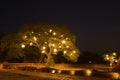 Night theme garden decoration wih tree decorated with light bulb.