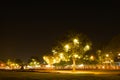 Night theme garden decoration wih tree decorated with light bulb.