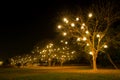 Night theme garden decoration wih tree decorated with light bulb. Royalty Free Stock Photo