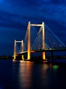 Night time cable brisge image. Royalty Free Stock Photo