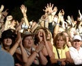 Music festival crowd