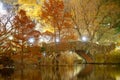 Night time image of Gapstow Bridge in New York CityÃ¢â¬â¢s Central Park at night Royalty Free Stock Photo