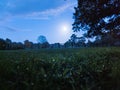 Night time night sight with moonlight streaming through the trees at a farm in Rutland, England, UK.