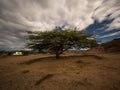 Night time panorama of isolated idyllic tree in tropical red stone desert Tatacoa in Villavieja Neiva Huila Colombia Royalty Free Stock Photo