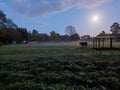 Night time night sight with moonlight streaming through the trees at a farm in Rutland, England, UK.