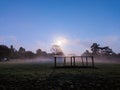 Night time night sight with moonlight streaming through the trees at a farm in Rutland, England, UK.