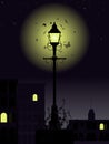 Night time streetlamp Royalty Free Stock Photo