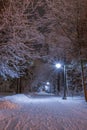 Night Time Wintry Path through the Woods Royalty Free Stock Photo