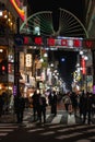 Night of Tokyo Japan walking and capturing his spirit