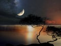 night tree and birds silhouette big moon on starry sky at pink sunset sea summer sea beach blurre light nature landsc