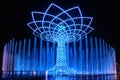 The night tree of life (Albero della vita) show . The tree of life is the Expo 2015 symbol. Royalty Free Stock Photo