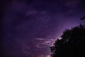 Night tree silhouette and dreamlike starry purple sky with clouds