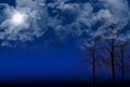 Night trees Royalty Free Stock Photo