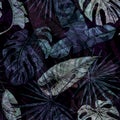 Night tropical leaves seamless pattern on black background. Vintage jungle foliage in engraving style