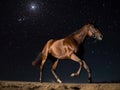 A Night Under Stars at The Irish Derby