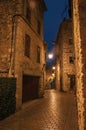 Night view of alley with lamp in Vence.