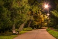 Night view of alley in park Royalty Free Stock Photo