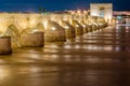 Night view of the ancient Roman bridge of Cordoba, Spain Royalty Free Stock Photo