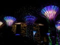 Night view of the artificial trees of the Gardens of the Bay with the Hotel Marina Bay Sands in the background