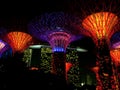 Night view of the artificial trees of the Gardens of the Bay with their spectacular lighting with the Hotel Marina Bay Sands in th