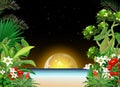 Night View In Beach With Moonlight and Tropical Plant FLower Cartoon