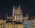 Night View of Burgos Cathedral, Spain Royalty Free Stock Photo