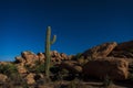 Night view of cactus desert in Florence, Arizona Royalty Free Stock Photo