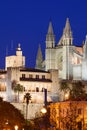 Night view of the Cathedral of Palma Royalty Free Stock Photo
