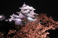 Night view of cherry blossoms at Himeji castle Royalty Free Stock Photo