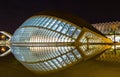 Night view of City of Arts and Sciences with reflection, Valencia, Spain Royalty Free Stock Photo